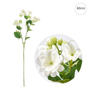 y5{ZbgzJWX~ (60cm) (5{Zbg)tFCNt[ ϗtA Xܑ CeAfBXvC G o  Cxg   A[gO[ WX~