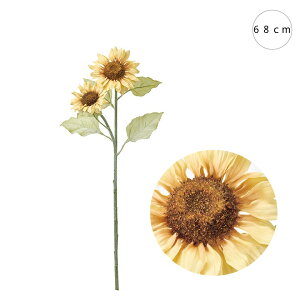 y3{Zbgzx[WCfATt[ (L68cm)  Ђ܂  tFCN  CeAfBXvC G o  Cxg   ϗtA A[gO[  Tt[