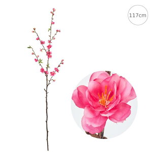 yVzy2{Zbgzỷԁz} (117cm) Xܑ CeAfBXvC G o  Cxg   ϗtA A[gO[