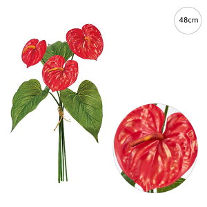 y3Zbgzg}gAXoh (48cm) AXE i Vv CeA mg[ tFCNt[  CeAfBXvC G o  Cxg  ϗtA A