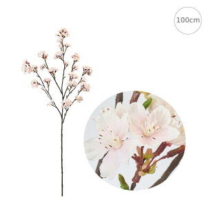 y4ח\zW̍ (100cm) t Xܑ CeAfBXvC G o  Cxg   ϗtA A[gO[ 