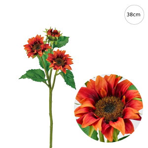 y3{ZbgztCTt[  tFCNt[   CeAfBXvC G o  Cxg ԑ ϗtA A[gO[ 