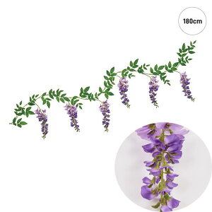 ݓK[h (180cm)  a ̉ CeA t[ AW Vv S[WX fBXvC X  G o