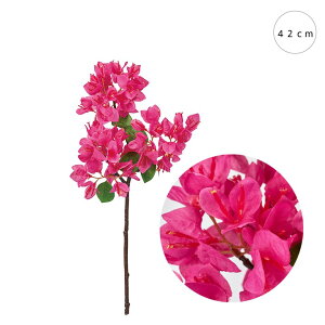 y3{ZbgzTUu[QrA (42cm )  CeA ԑ u[P  ͂Ȃ EFfBO  Be lHϗtA 뉀 Lb` ItBX