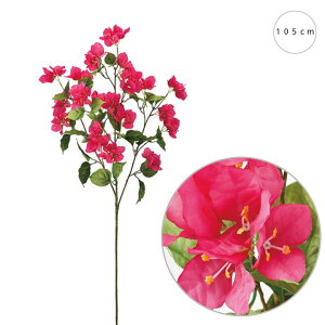 Ou[QrAubV (105cm ) AW A 썑  CeA ԑ u[P  ͂Ȃ EFfBO  Be lHϗtA 뉀 Lb` ItBX