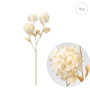 y2{ZbgzGNAnChWA (L75cm)  z Xܑ CeAfBXvC G o  Cxg   ϗtA A[gO[