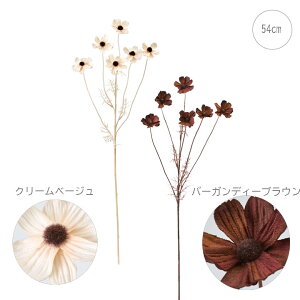 yeF3{Zbgzy RXXzGNARXX (54cm) CeA u[P t[ AWg p[c ^   I tFCN ݃J[ i`