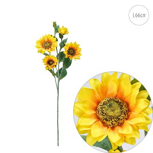 y3{ZbgztB[YTt[ (L66cm)  Ђ܂  tFCN  CeAfBXvC G o  Cxg   ϗtA A[gO[  Tt[ S