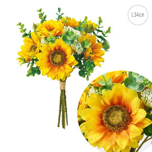ēׁIy2{ZbgzvGTt[u[P (L34cm) iS[hCG[j Ђ܂  tFCN  CeA fBXvC G o  Cxg   ϗtA A[g