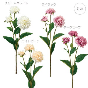 yeF3{ZbgzZ[k_A (51cm) tFCNt[ T}[t[ ϗtA tFCN  ^ lHϗtA A tFCNO[ L G} CTG}