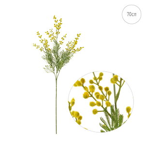 y3{Zbgzy ~Uz`FbV~U (70cm) Xܑ CeAfBXvC G o  Cxg   ϗtA A[gO[@a_ ze GKg