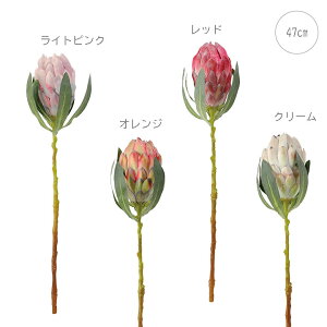 yeF2{Zbgzt@rX veA (L47cm) A 썑 o  tFCNt[  CeAfBXvC G  Cxg   ϗtA A[gO[ gsJ