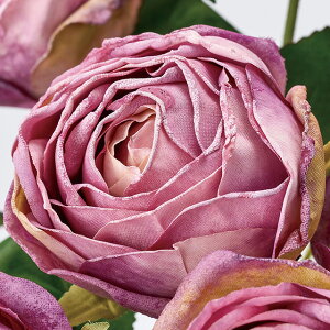 t\[YubV (46cm)  H Xܑ CeAfBXvC G  Cxg   ϗtA A[gO[ ݃J[ hCt[ 