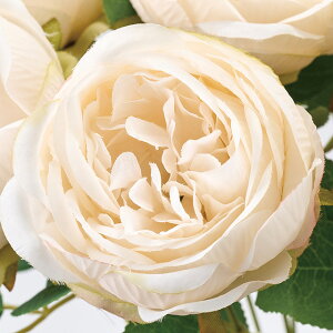 Vg[[YubV (43cm)  H Xܑ CeAfBXvC G  Cxg   ϗtA A[gO[ ݃J[ hCt[ 