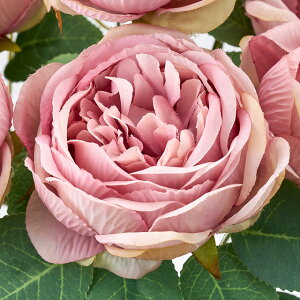 Vg[[YubV (43cm)  H Xܑ CeAfBXvC G  Cxg   ϗtA A[gO[ ݃J[ hCt[ 