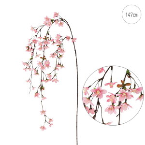 y2{ZbgzyVz (147cm) t Xܑ CeAfBXvC G o  Cxg   ϗtA A[gO[ 