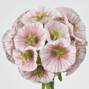 yeF3{ZbgzXJrITXe[^ (64cm)  lH ϗtA ^ _ CeA t[AW Vv lHϗtA