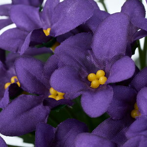 yVzy5{ZbgzZg|[A (18cm)  CeAfBXvC G  Cxg   ϗtA A[gO[ ݃J[