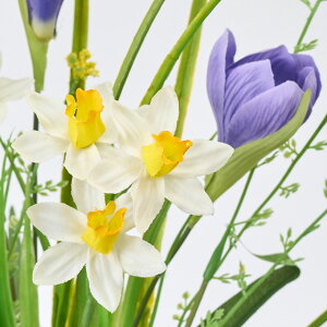 yVzyeF2{ZbgziVTX~fBu[P (52cm)   CeAfBXvC G  Cxg   ϗtA A[gO[ ݃J[