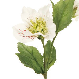 yVzy10{Zbgzv NX}X[XJ(28cm)  CeAfBXvC G  Cxg   ϗtA A[gO[ ݃J[