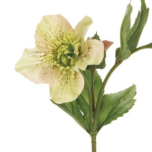 yVzy10{Zbgzv NX}X[XJ(28cm)  CeAfBXvC G  Cxg   ϗtA A[gO[ ݃J[