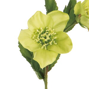 yVzy10{Zbgzv NX}X[XJ(28cm)  CeAfBXvC G  Cxg   ϗtA A[gO[ ݃J[