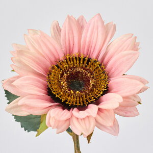 y5{ZbgzTZbgTt[ (70cm)  tFCNt[   CeAfBXvC G o  Cxg ԑ ϗtA A[gO[ 