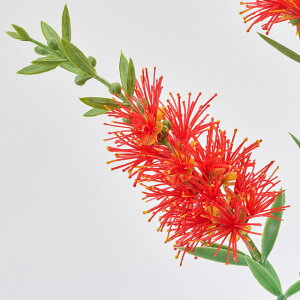 y3{ZbgzChJXe (82cm) 썑 tFCNt[  CeAfBXvC G o  Cxg  ϗtA A[gO[ gsJ