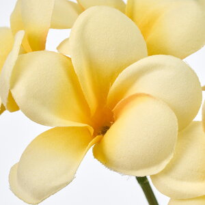 【5本セット】アマンダプルメリア (26cm) 高品質 シンプル インテリア フェイクフラワー 装飾 インテリアディスプレイ 季節 演出 飾り イベント 造花 観葉植物 アートフラワー トロピカル