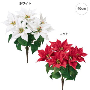 y2{ZbgzGNXeA|CZ`AubV (40cm) |CZ`A   i       Ǌ| XbO X Vbv { p[eB[ Ɩp