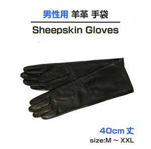 o^Cf[jp 40cm {v܁OO[u@v@j܁@Y܁@v[g@Mtg@am@U[ RXv@ߑ@NX}X@T^@Xe[W@