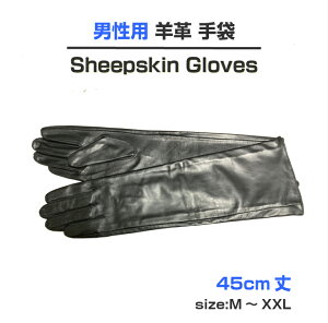 jp 45cm {v܁OO[u@v@j܁@Y܁@v[g@Mtg@NX}X@ߑ@RX`[@p[eB[