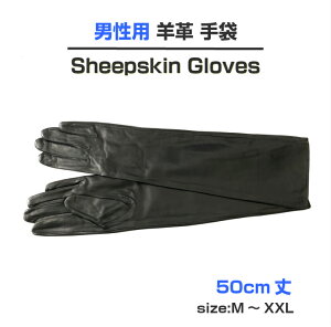 jp 50cm {v܁OO[u@v@j܁@Y܁@v[g@Mtg@am@U[ RXv@ߑ@NX}X@T^@jANZ@YO[u