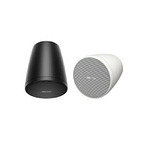 BOSE Pendant-Mount loudspeakerwFS2P/yAxy݌ɂ̏ꍇ1~3cƓŏo׉\z