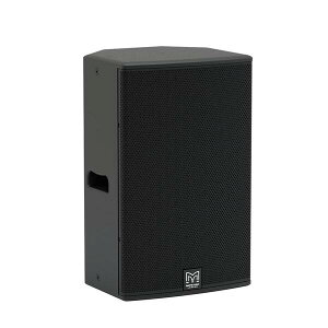 MARTIN AUDIOi}[`I[fBIjp[hXs[J[wBlackline XP15xy݌ɂ̏ꍇ1~3cƓŏo׉\z