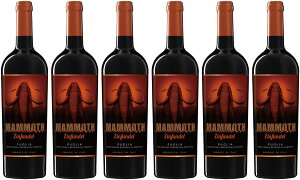 yz}X Wt@f 750ml 6{Zbg y}[E}jz ԃC C^A v[A t h kEkC͑ΏۊOł Mtg 蕨 j 