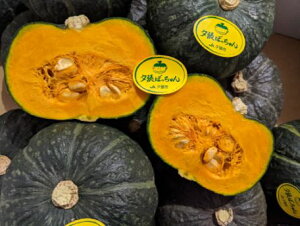 kC[YÂĔ[V񂩂ڂ1@3kgi8`16ʓj