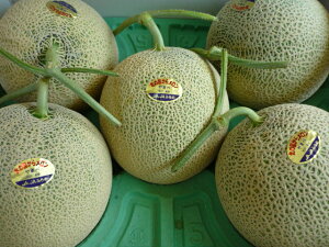 @Ȃ̏Gi@Á`@kCYkCFXȎYnԓ@Gi@3`6ʓ@8kg̑唠