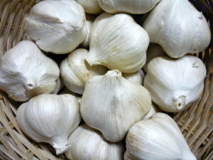  kCY Giɂɂ Ղ 1kg(MTCYj
