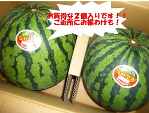 @kC\XCJ@kCaYMtgɍœK@Ȃ@炢ł񂷂x11xȏ@L`2LTCY1ʓ4.5kgȏ2ʓ9kgȏI
