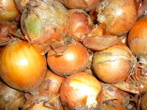 I@kCYʂ˂@@ۂƎgĕ֗STCY@10kg