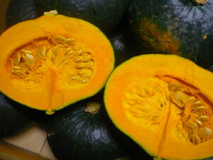 @kCYXIقق@܁`uvڂ@10kg