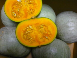 @kCYقق@܁`󂠂ቻςڂ@3`10ʓ@10kg