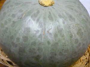 kCYقق@܁`ڐቻςڂ@1ʓ@2kgȏ