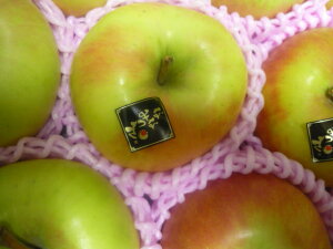 b̂̕iIIkCюY@@@MtgA蕨ɍœKIYʁ@ɏ@ȂȂ݂@7`12ʓi3kgj