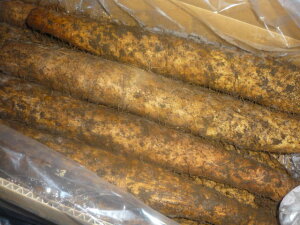 @kCYpɁ@f炵@SÂ݂肤܁`2L`4LTCY@10kg