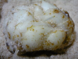 kCYzNzN܁`ق̂肠܂ā@ڂȈi@󂠂肶ڂˁ@1