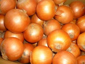  ܁`@kCYg₷傫̋ʂ˂M`LTCY10kg