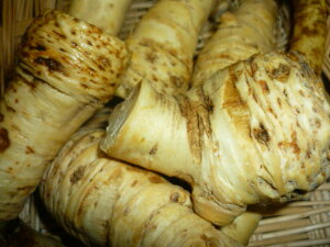 @肽āIh܁`R킳сiz[XfBbVjՂ1kgkCY̐h܂Ȃ