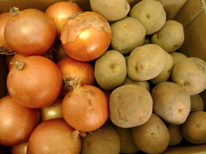  g؂蔲QI kCY؁@܁`Ⴊ(LTCY)Ƃ܂܋ʂ˂LTCY3kgÂv6kĝZbgI